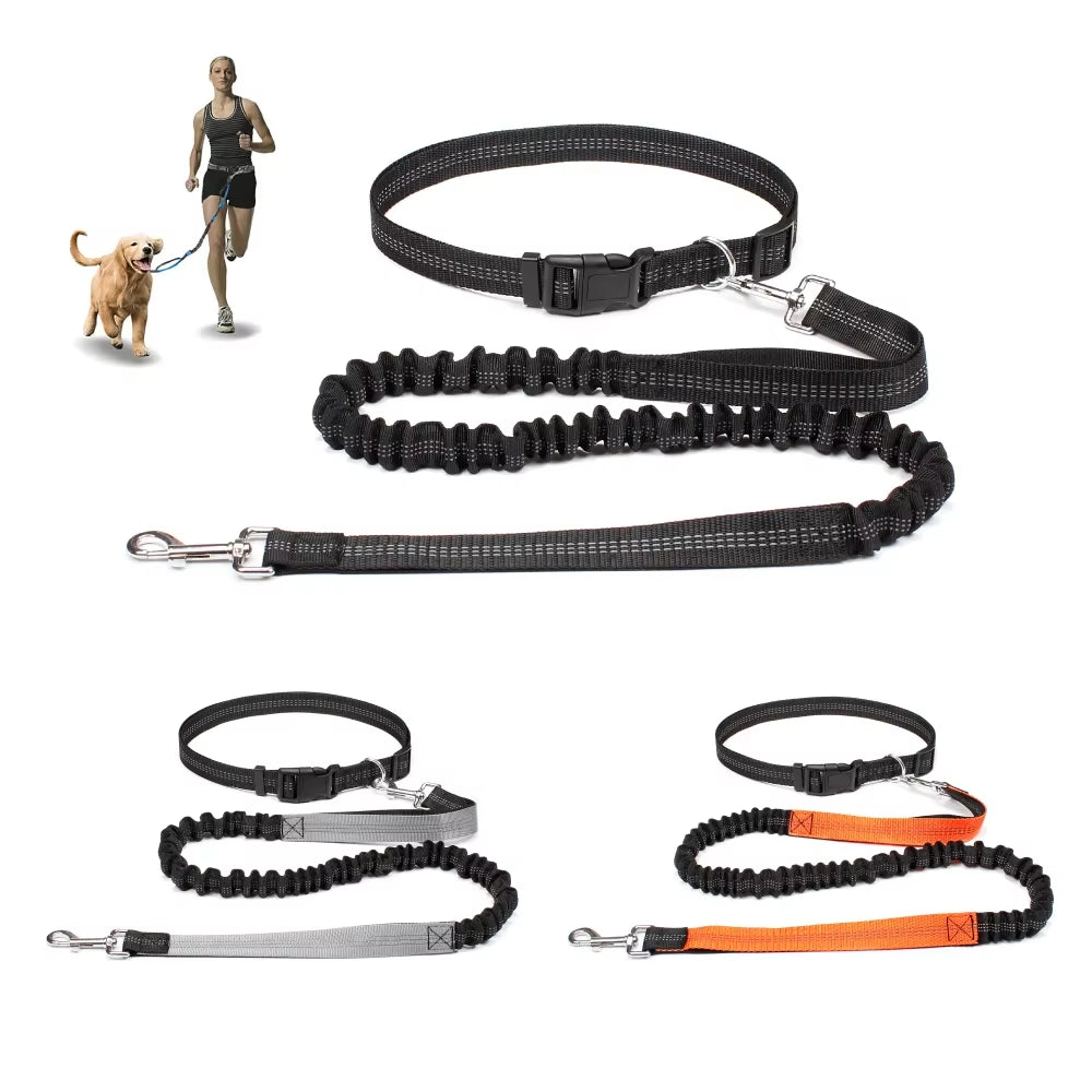 Correa manos libres para perros para pasear, correr y trotar. Correa ajustable para la cintura y el pecho. Cuerda de tracción. 