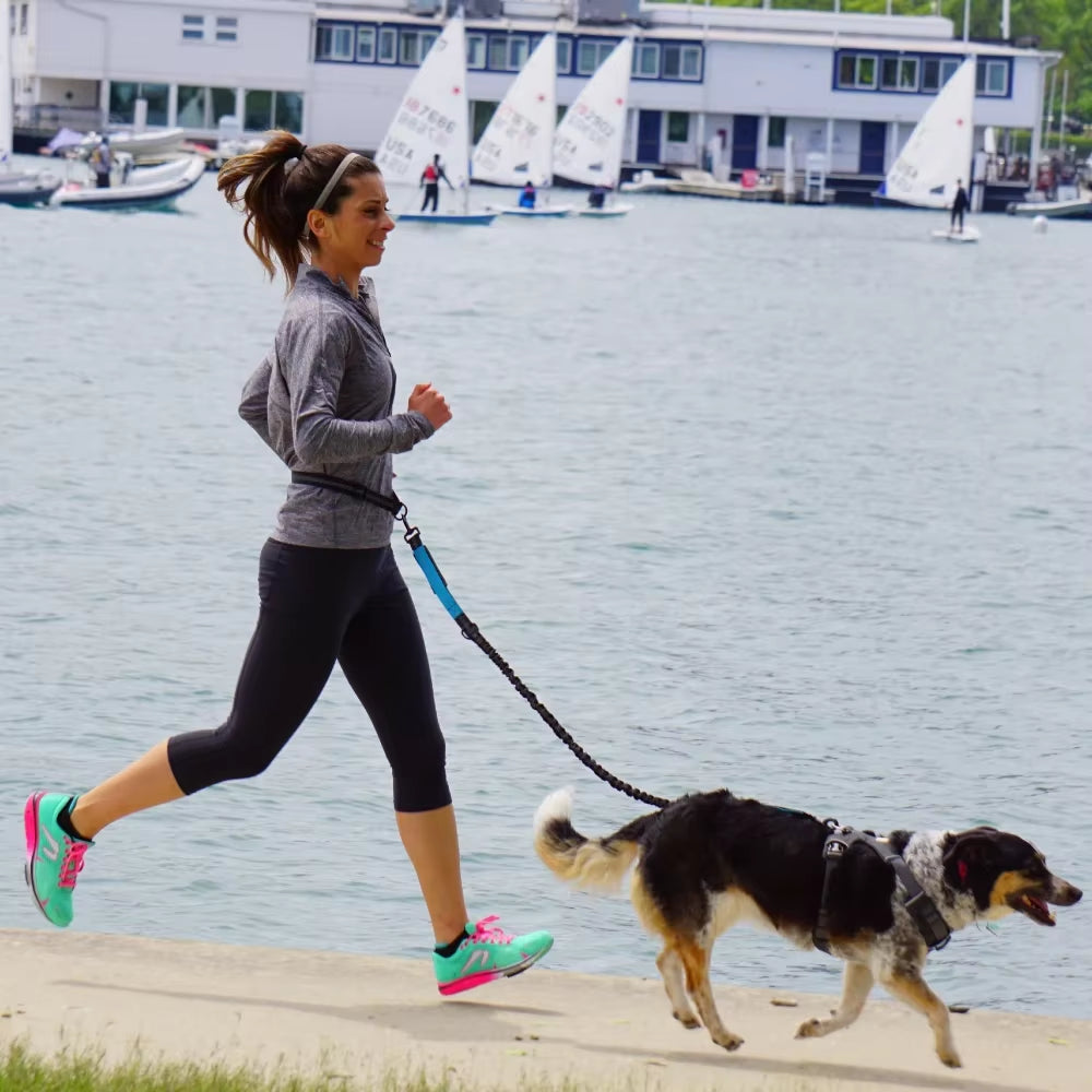 Correa manos libres para perros para pasear, correr y trotar. Correa ajustable para la cintura y el pecho. Cuerda de tracción. 