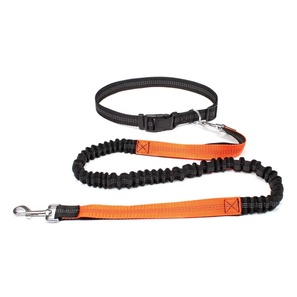 Correa manos libres para perros para pasear, correr y trotar. Correa ajustable para la cintura y el pecho. Cuerda de tracción. 